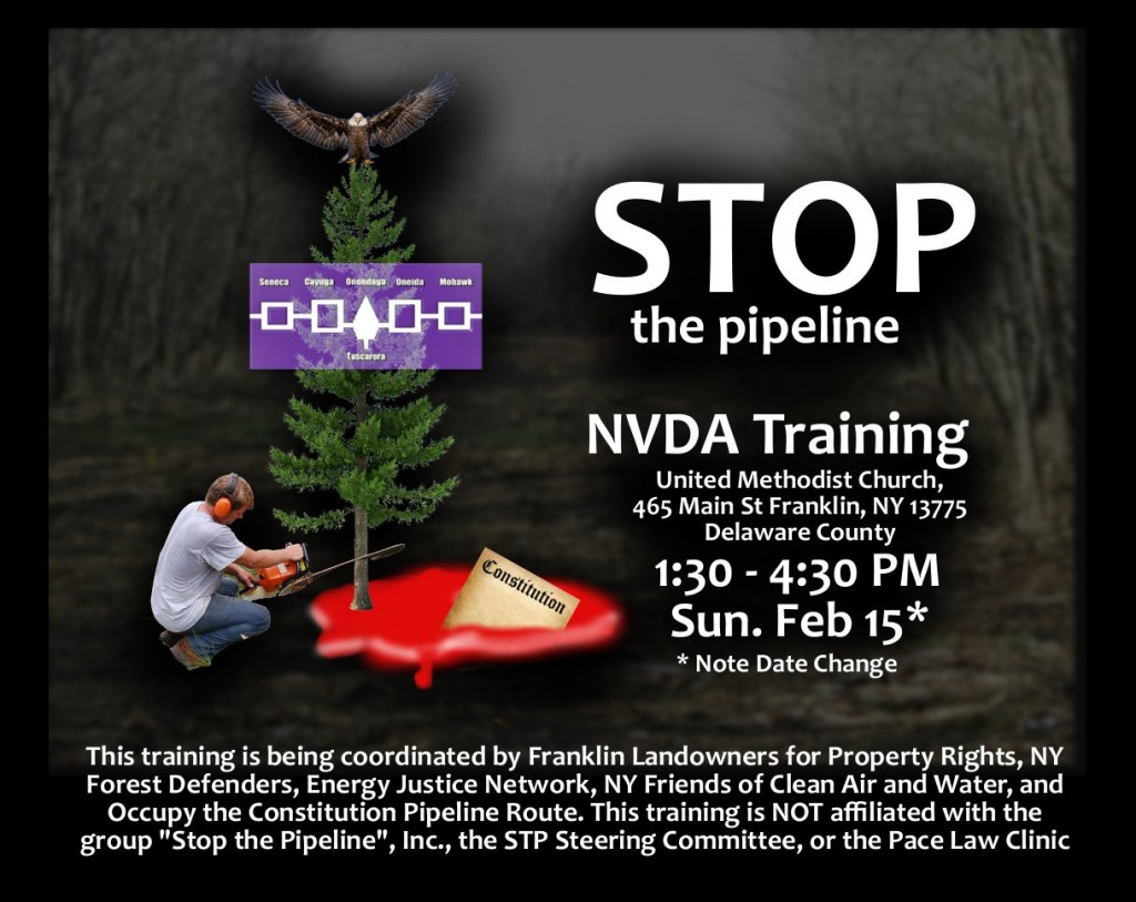 stop the pipeline nvda training