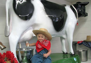 Milking Dairy Farmers For Fracking Publicity Stunts