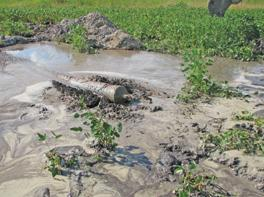 MSC DATABASE:  TRANSPARENT AS DRILLING MUD