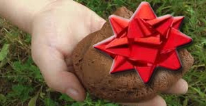 IPAA EID RELEASES POOP 3.0