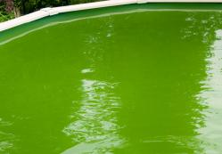 FORCED INTO THE FRACKING POOL