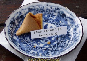 Chesapeake Bails from New York