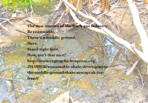 Sustainable Shale Development: The “Middle Ground” That’s Newspeak for Fraud