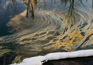 HEY AMERICA - WAKE UP AND SMELL THE CHEMICALS