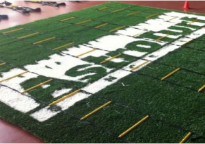 UNITED SHALE ASTROTURF