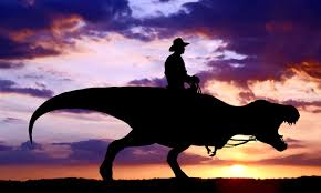 Climate Change IQ Test By Region