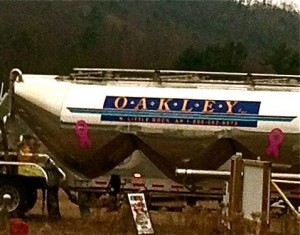 532454_10100164749912039_1364500542_n