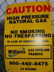 539998_908285846109_1556021020_n