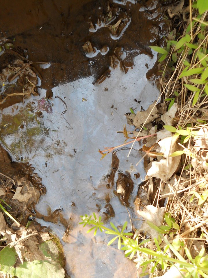 582285_936340274809_1463656827_n