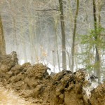 321053_10100180625282669_672070013_n