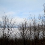 429113_10100180621530189_2096055900_n