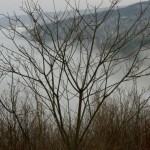 555349_10100180622882479_1173439584_n