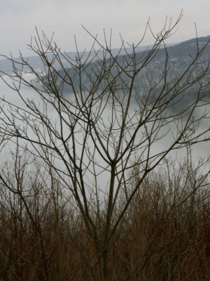 555349_10100180622882479_1173439584_n