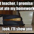 cat ate my homework