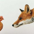 Fracking Fox Guards Environmental Chicks