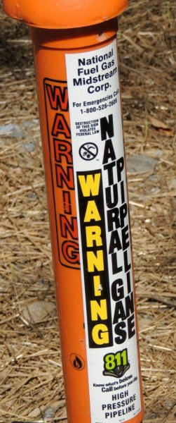 480431_10100282843232079_2012722156_n