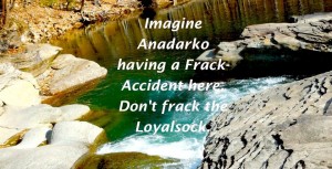 57929_10100254941033309_55804373_n