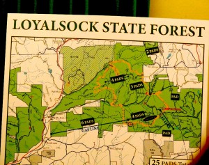 9398_10100277030905029_753456460_n-1