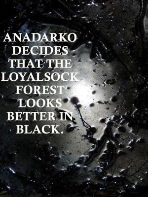 945860_10100282912598069_527336757_n