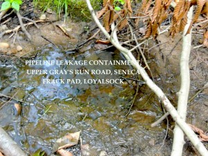 1003459_10100324108660829_1370057167_n