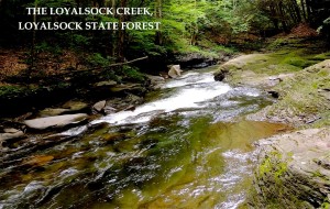 581673_10100323944045719_2106464630_n