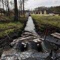 Exxon pollution