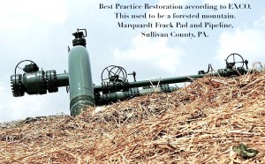 1044292_10100315436380149_530133414_n