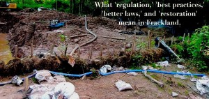 1381945_10100396630526429_1413309310_n