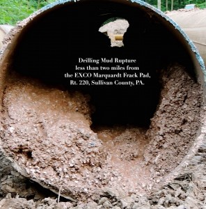 5407_10100298956466029_1470090846_n