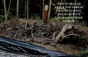 969513_10100324108620909_1940593424_n