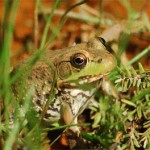 2007-September-3146-img-3