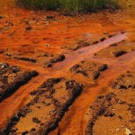 feature.hansen.figure1