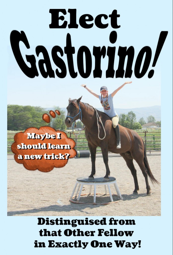 gastorino one trick pony