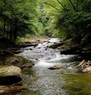 1017386_10100323944360089_528249531_n