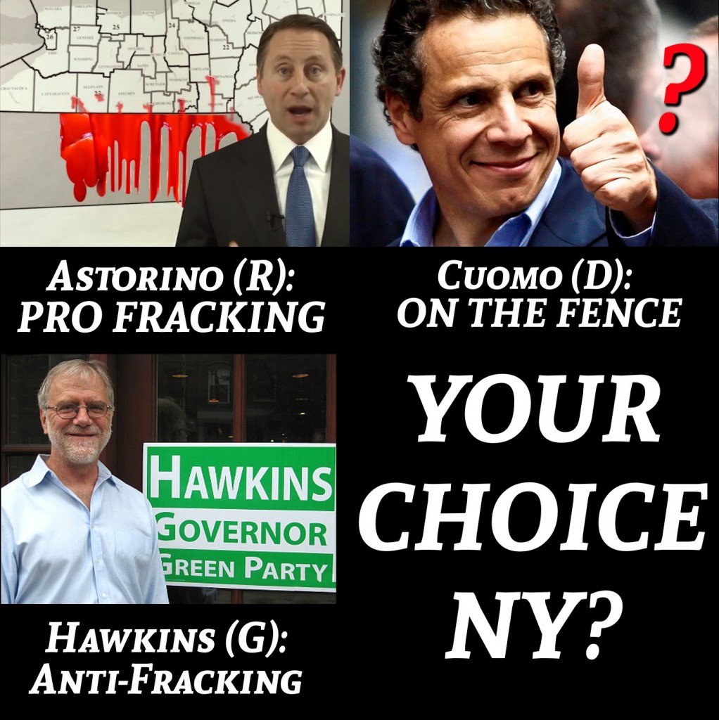 Your Choice NY 2014 guber guide