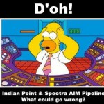 Indian Point Homer What could go wrong